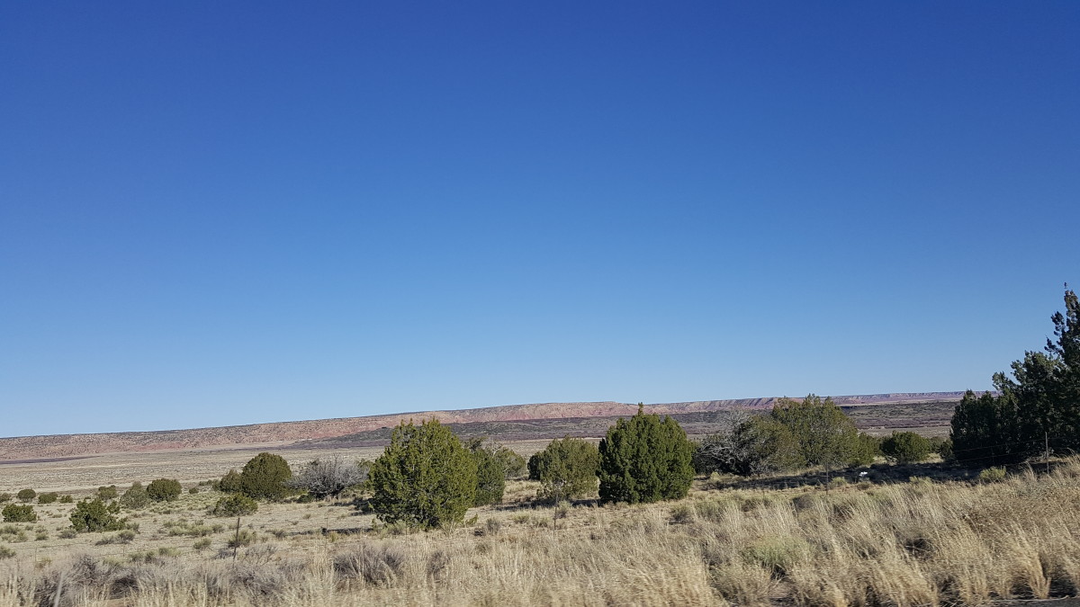 SOLD 1.24 acres in Apache County Arizona Witch Well Ranches! TDX LAND