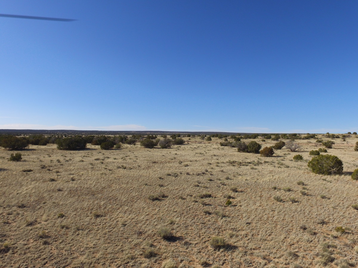 SOLD 1.24 acres in Apache County Arizona Witch Well Ranches! TDX LAND