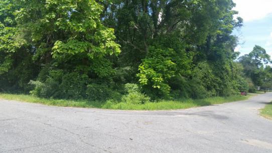 SOLD – Residential lot for sale in South Bend, IN