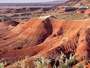 painted desert 2