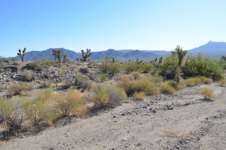 SOLD – 2 acres in Meadview, AZ – the perfect getaway spot