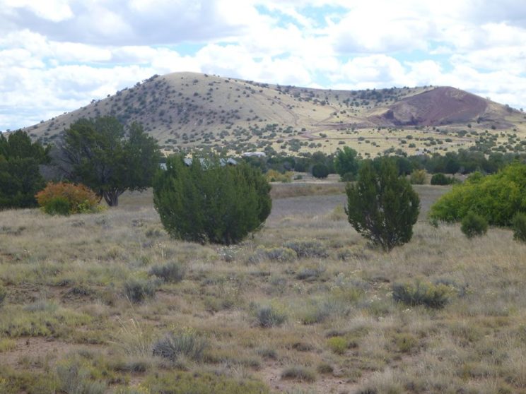 SOLD – ½ Acre residential lot in Concho Valley!