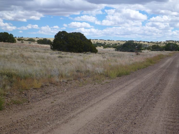 010-road-looking-west