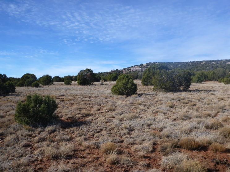 SOLD – 1.2 acres in Show Low Pines, Arizona!